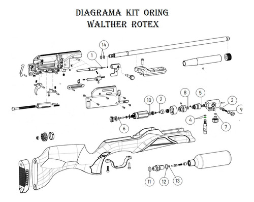 Kiit Oring Pcp Walther Rotex Rm8