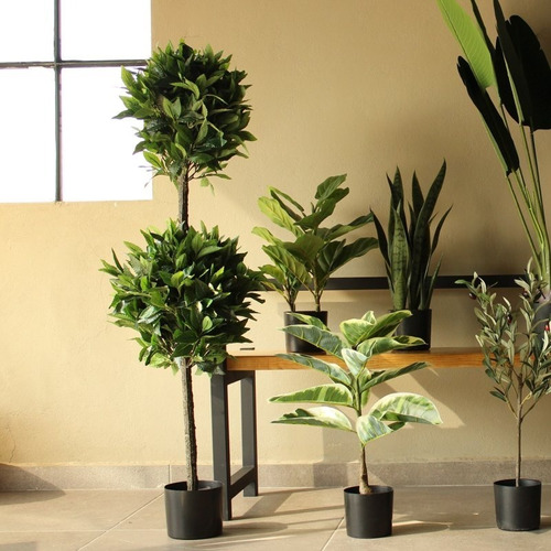 Planta Artificial Decorativa Laurel-a120, Corner Home | Meses sin intereses
