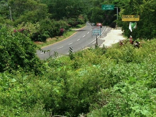 Venta Terreno Yautepec Inmejorable Ubicación Ideal Para Desarrolladores