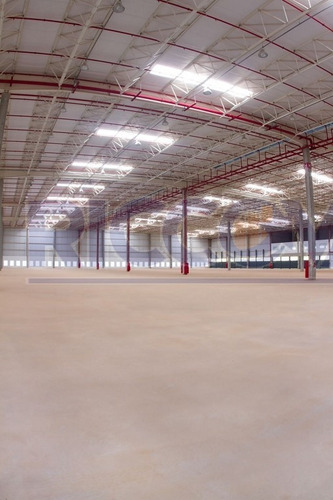 Imagem 5 de 13 de Galpão Para Aluguel, 7807.0m² - 2797