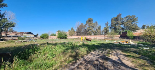 Imagen 8 de 17 de Galpón Industrial 1100 M² En Fracción 6.772 M² - Baños Y Oficinas - 9 De Abril