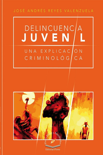 Delincuencia Juvenil Un Estudio Criminológico(2671)