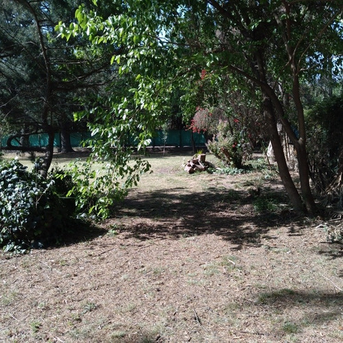 Imagen 7 de 26 de Alquiler De Quinta Por Dia