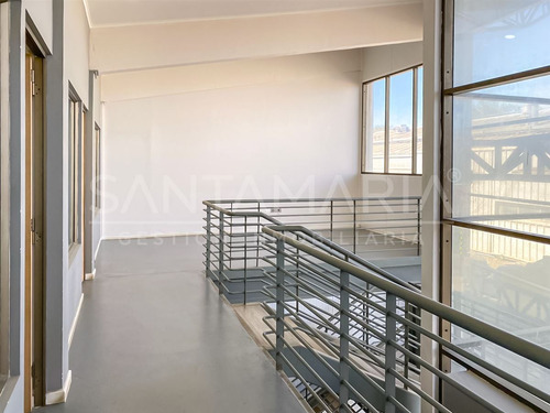 Arriendo Oficina Ubicada En Jaime Repullo, Talcahuano.