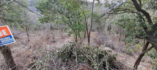 Imagen 4 de 9 de Lote En Venta De 1000m2 Ubicado En La Falda