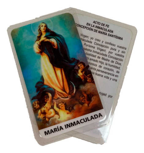 Estampa Plastificada Maria Inmaculada Oracion X 10 Pai Joao