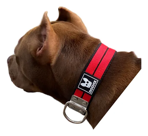 comprar Coleira Dupla Nylon Para Cachorro Colar Pet Pitbull Raça Pet