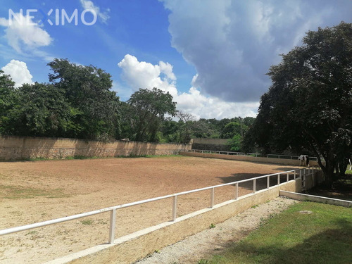 Imagen 26 de 30 de Casa En Venta De Un Piso En Cholul Mérida, Yucatán Con Grandes Jardines Y Alberca