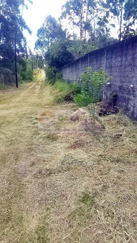 Imagem 4 de 12 de Belíssima Chácara...
