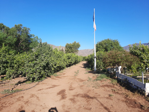 Parcela Con Árboles Frutales. Excelente Oportunidad!