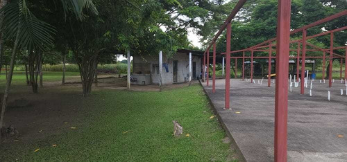 Imagen 13 de 14 de Granja Avicola-porcina A 10 Min. Del Centro De Barinas