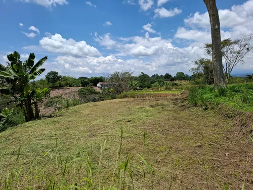 Oportunidad De Inversión! Excelente Ubicación Lote Campestre