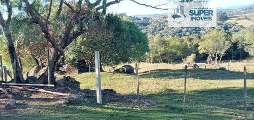 Imagem 30 de 30 de Chácara A Venda No Bairro Centro Em Morro Redondo - Rs. - 2181-1