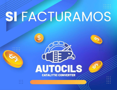Apaga Codigo P0420 Mini Catalizador Renault Captur