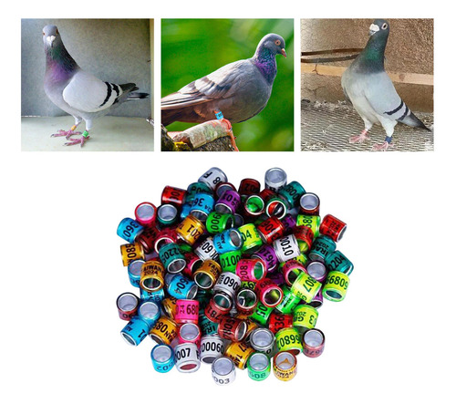 100 Pçs 2024 Anel De Pombo De Alumínio Pomba Anéis De Cor
