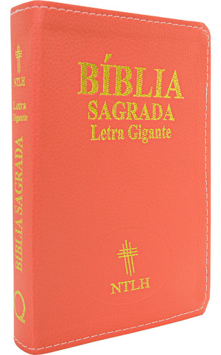 Bíblia Sagrada Capa Luxo Salmão Com Índice: Letra Gigante Ntlh, De Vários Cooperadores. Única, Vol. Único. Editorial Edifique, Capa Mole, Edição 1a Edição Em Português, 2024