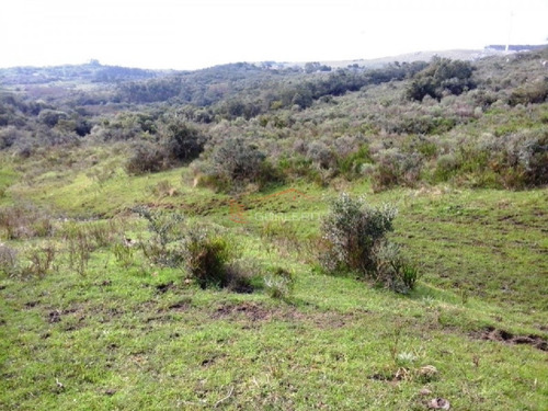 Campo En Venta En Uruguay, Lavalleja A Pocos Km De Minas- Ref: 22035