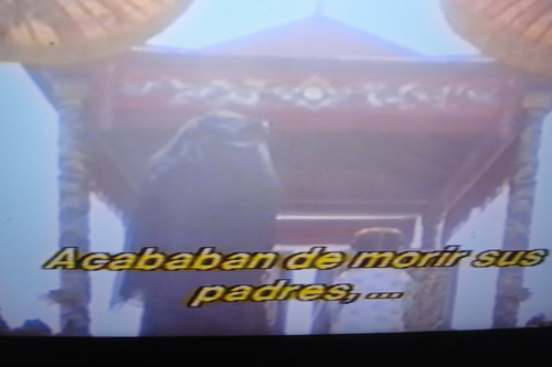 Vhs Indochina ( Indochine, Régis Wargnier, 1992) (Usado)