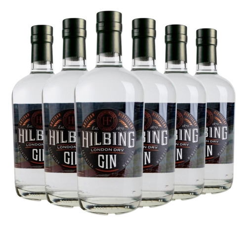 Gin Hilbing London Dry Caja X 6 X 750ml. Gin Argentino