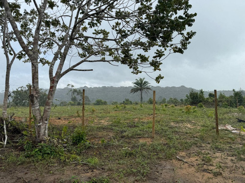 Terreno 29.500 Metros Pertinho Da Praia Com Rio E Linda Mata. Escriturado - Cumuruxatiba - Preço De Ocasião!