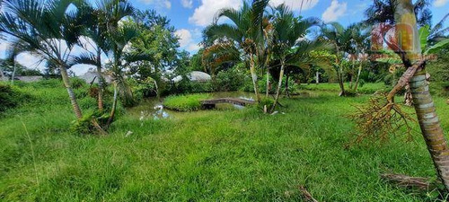 Imagem 9 de 28 de Chácara Com 3 Dormitórios À Venda, 7790 M² Por R$ 700.000,00 - Bambu - Peruíbe/sp - Ch0157