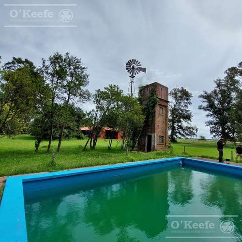 Imagen 14 de 20 de Campo En Venta 120 Has En Mercedes - Mixto Con Casco
