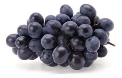 1 Muda De Uva Vitoria Sem Caroço