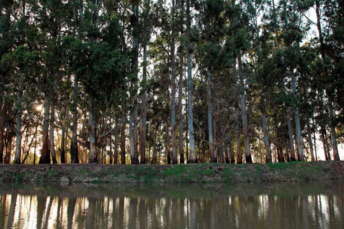 Imagen 3 de 16 de Venta Lote En Bahías Del Paraná - Chacra 4000 M2