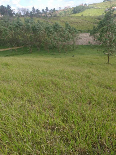 Imagem 13 de 14 de A26- Lembrete Pensou Em Segurança Pensou Em Lotes
