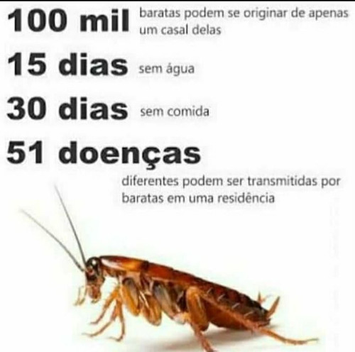 Imagem 3 de 5 de Dedetizadora Em Imóveis Residencial Empresarial Comercial