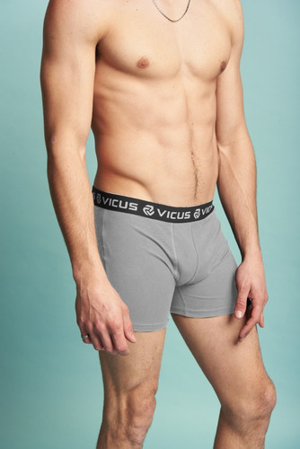 Imagen 2 de 6 de Boxer Vicus Loged Hombre Gris Melange