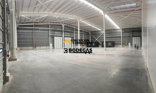 Arriendo Bodega De 1.200 M2 En P. Industrial Enea, Pudahuel.