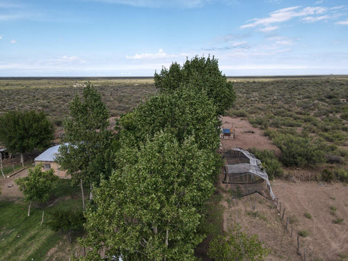 Campo En Venta En Las Catitas, Santa Rosa, Mendoza
