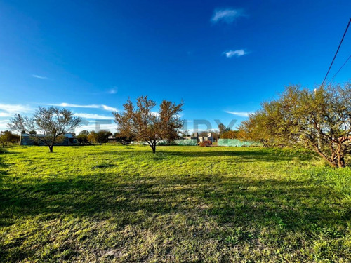 Venta Terreno 550m² En Luis Palacios