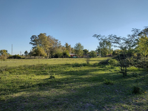 Imagen 15 de 21 de Terreno En Venta - La Lonja - Pilar