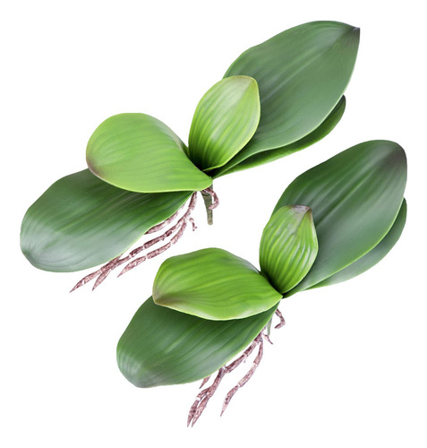 Hojas De Orquídea Fnize, 4 Pies Tallos De Phalaenopsis