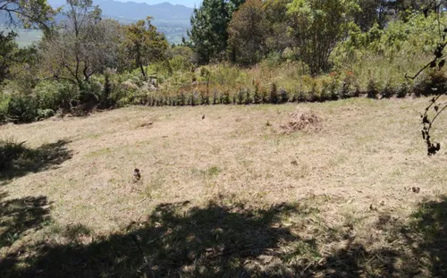 Lote En Venta En Vereda San Gabriel. Cod V11040016