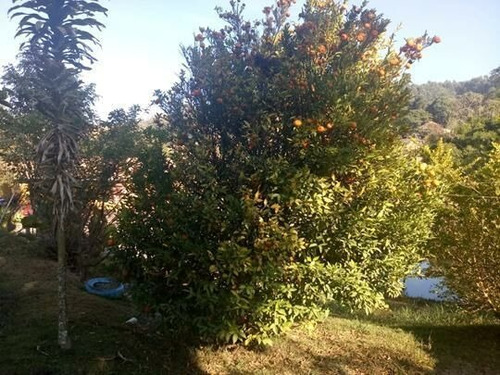 Imagem 13 de 19 de Chácara À Venda Em Pedra Bela/sp - 0071