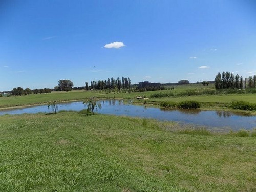 Imagen 6 de 10 de Terreno En Venta En El Espinillo Golf