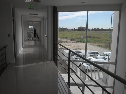 Imagen 9 de 18 de Nave Logística E Industrial En El Polígono Industrial Ezeiza