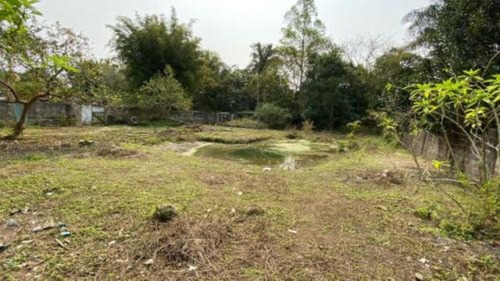 Imagem 4 de 9 de Chácara Com Lago Para Criação De Peixes, Em Peruíbe, No Bairro Parque Serra Mar, Analisa Entrada Mais Parcelas Ref: 8593/ac