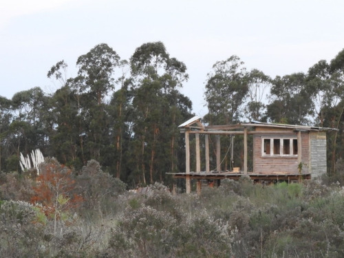 Imagen 2 de 8 de Campo 1 Ha - Casa En Madera -