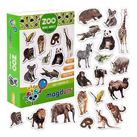 Magdum Photo Zoo Animal Magnets For Kids -real Large Fridge 