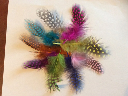 Plumas Para Decoracion   $5900 Las 100