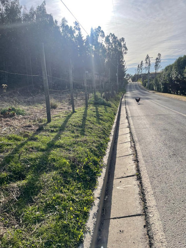 Tres Sitios Urbanos Camino Dolores Jeria Navidad A Matanzas
