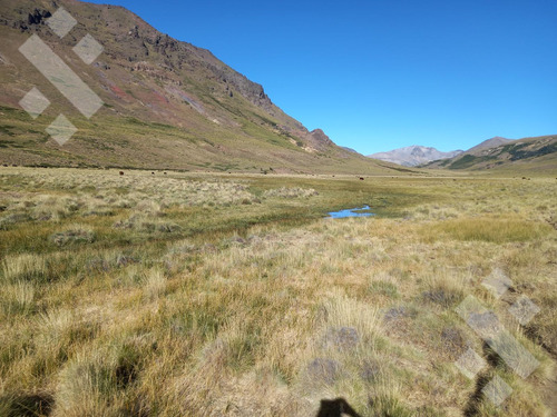Venta De Estancia En Ruta Provincial 21, Kilómetro 31, Departamento Picunches, Paraje Huarenchenque