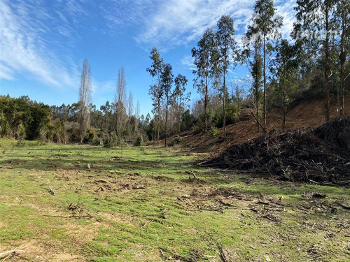 Parcela En Venta Sector Chacay En Santa Juana