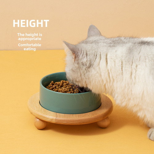 Tazón De Comida De Cerámica Para Perro, Gato