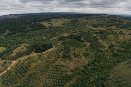 Imagen 24 de 30 de Campo Ovicola En Garzon - 212 Hectareas