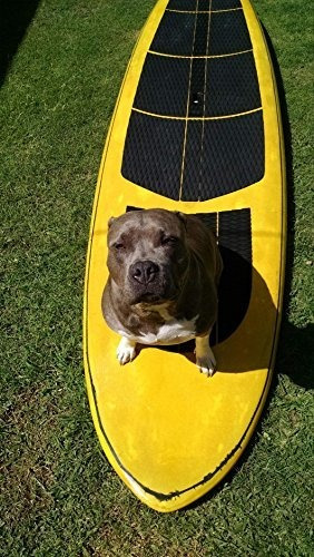 Perro Traccion Pad Con Calcomania 3 M 4 Pieza Cubierta Agarr